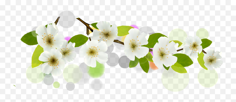 Download Hd Flower Euclidean Vector - Transparent White Flower Vector Emoji,Floral Png