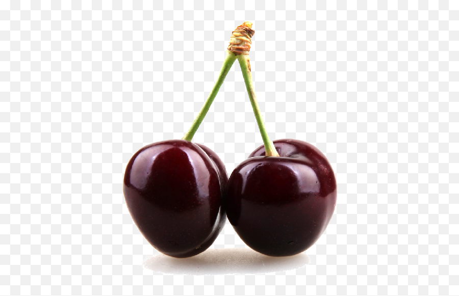 Black Cherry Clipart Hq Png Image - Black Cherry Png Emoji,Cherry Clipart