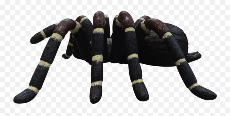 Insect Spider Tarantula Over Sized Bug Statue - Skeleton Statues For Halloween Emoji,Tarantula Png