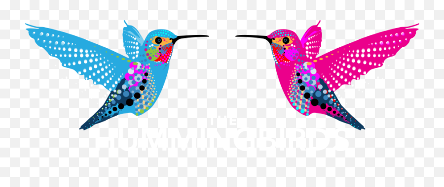 The Hummingbirds - Bee Hummingbird Emoji,Hummingbirds Logo