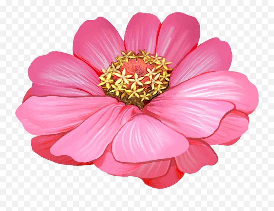 Pink Zinnia Flower Transparent Image Gallery Yopriceville Emoji,Flowers Transparent Png