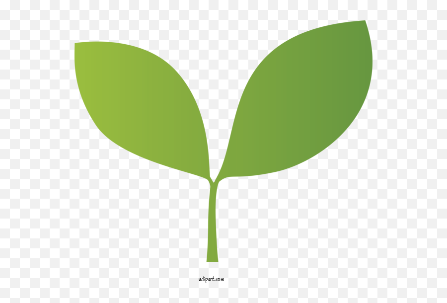 Nature Leaf Green Plant For Leaf - Leaf Clipart Nature Clip Art Emoji,Foliage Clipart