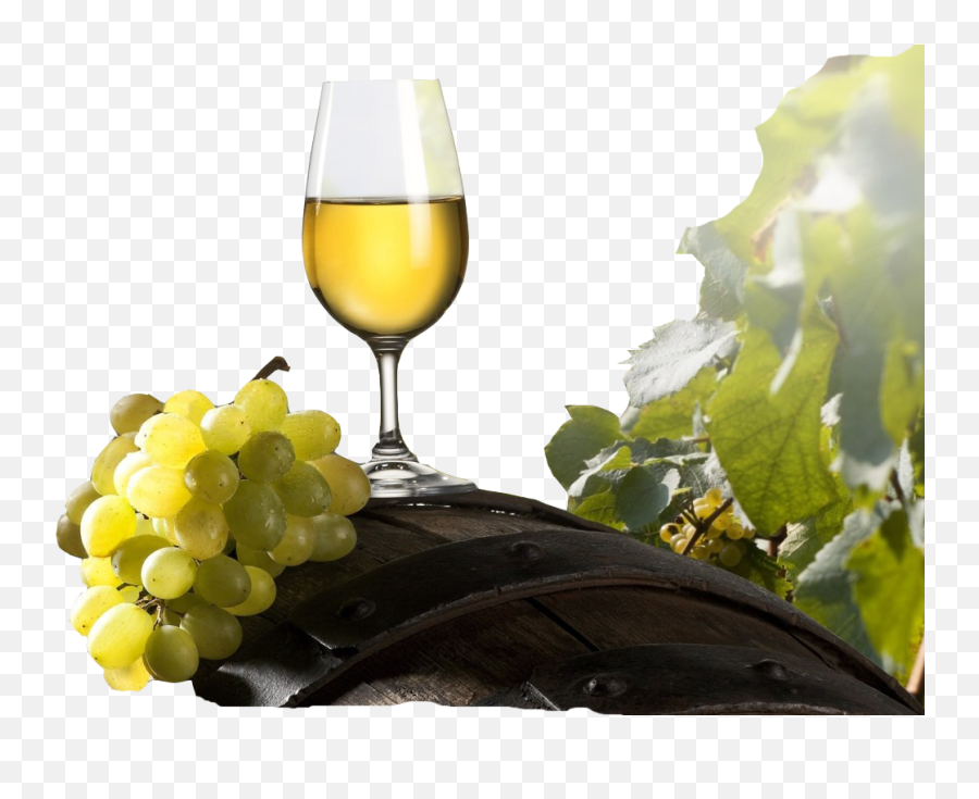 46 Wine Png Images Collected For Free - Wine And Grape Png Emoji,Wine Png