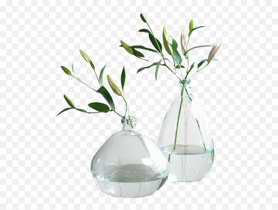 Clear Recycled Glass Balloon Vases - Set Of 2 In Tall Flower Glass Vase Png Emoji,Transparent Glass