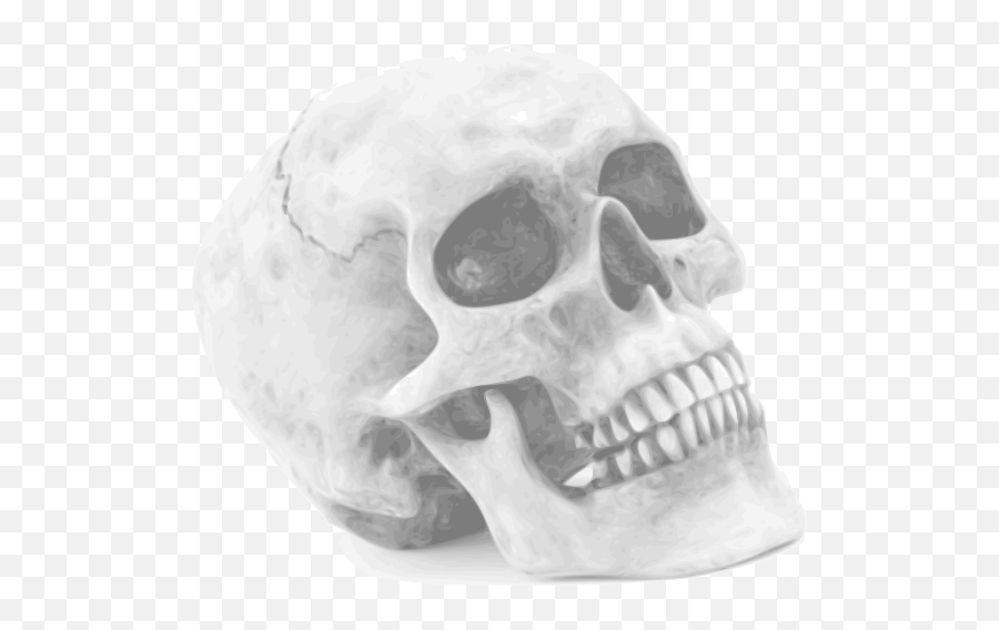 Halloween Skull Free Png Image Png Arts - Skull White Background Emoji,Skulls Png