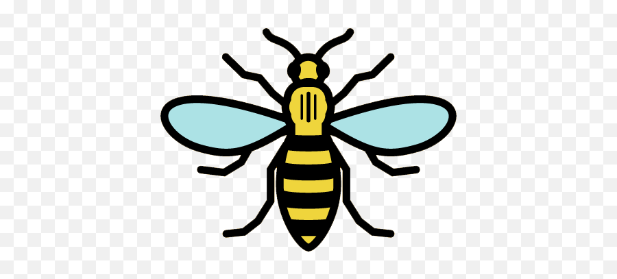 Bee Of Manchester Logo - Manchester Bee Emoji,Bee Logo