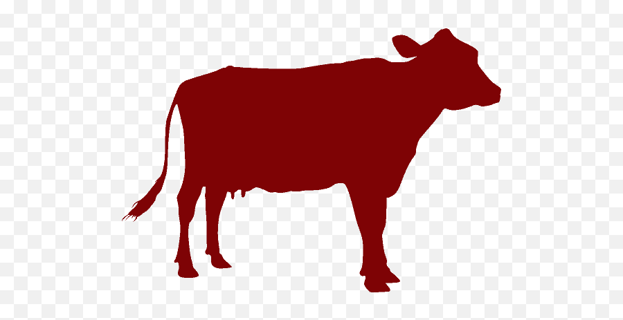 Dexter Cattle U2013 Farmer Johnu0027s Sustainable Farming Emoji,Steer Clipart