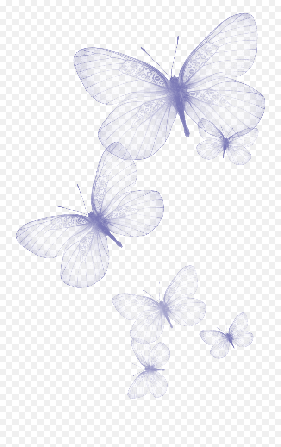 Download Hd Transparent Butterfly Png Clipart Picture - Purple Butterflies Clipart Transpaent Emoji,Butterfly Png