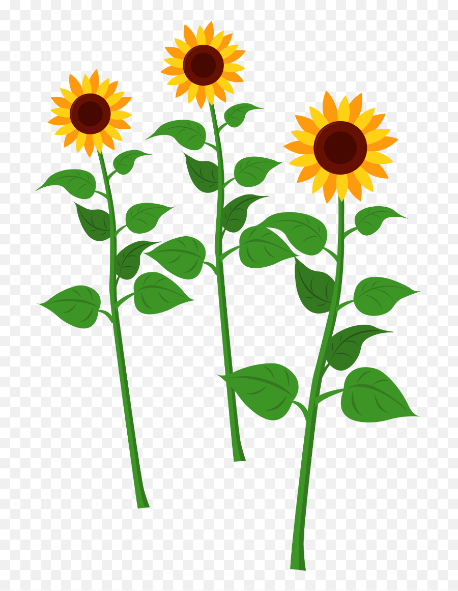 Sunflowers - Sun Flower Stem Hd Emoji,Sunflower Clipart