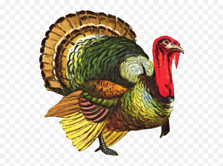 Turkey Png File - Colorful Turkey Clip Art Free Emoji,Turkey Png
