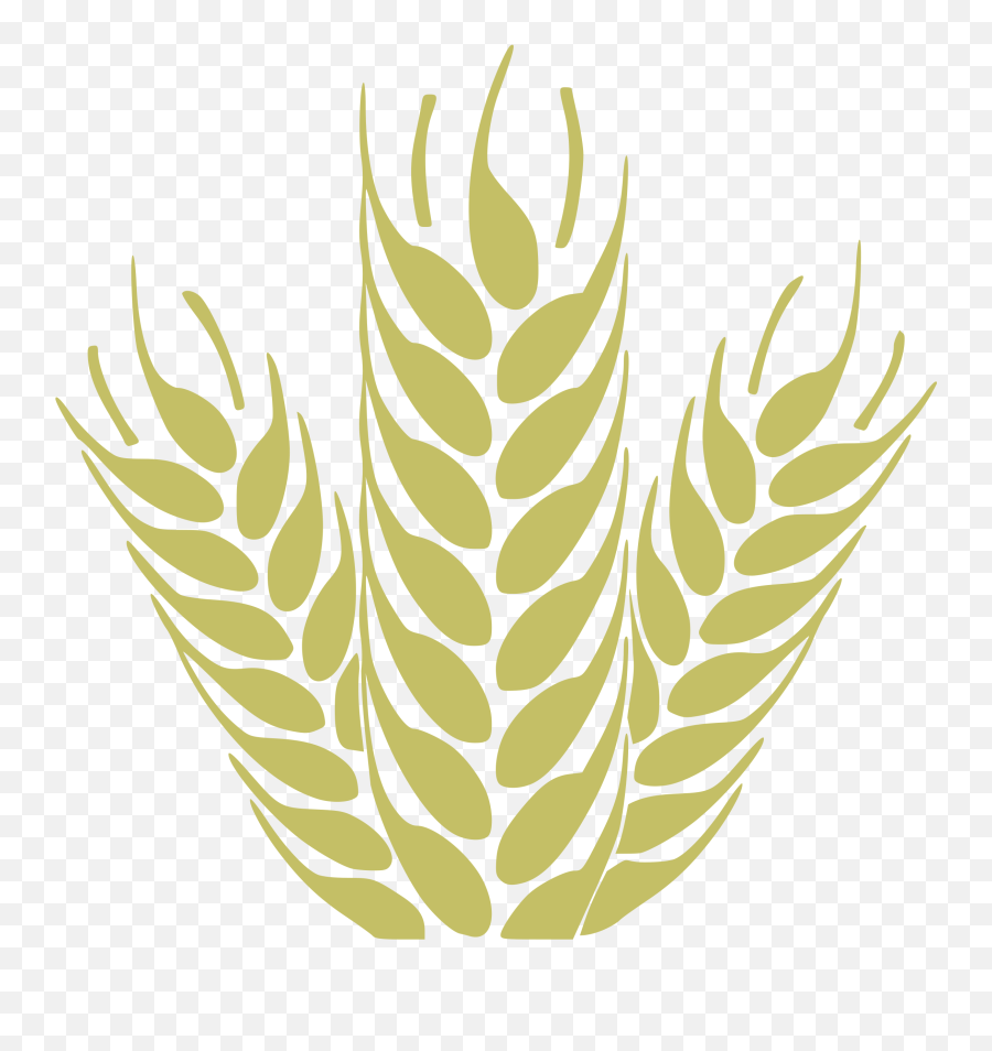Logo Clipart Wheat Picture - Wheat Vector Icon Png Emoji,Wheat Logo