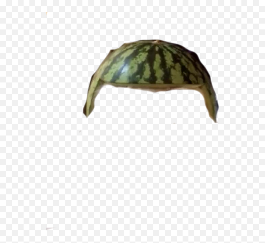 Melon Doggo Template For Pfpu0027s Hypixel - Minecraft Server Emoji,How To Make An Image Transparent In Paint.net