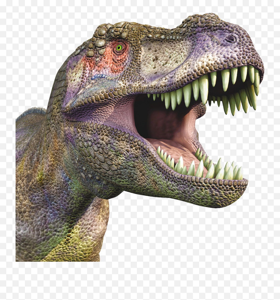 Download Dinosaur Free Png Transparent - Transparent Dinosaur Head Png Emoji,Dinosaur Png