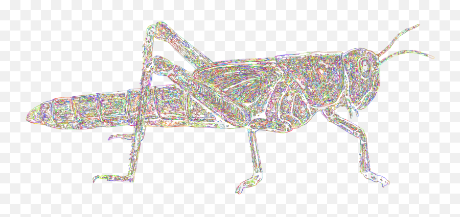 40 Free Grasshopper U0026 Cricket Vectors - Pixabay Parasitism Emoji,Grasshopper Clipart