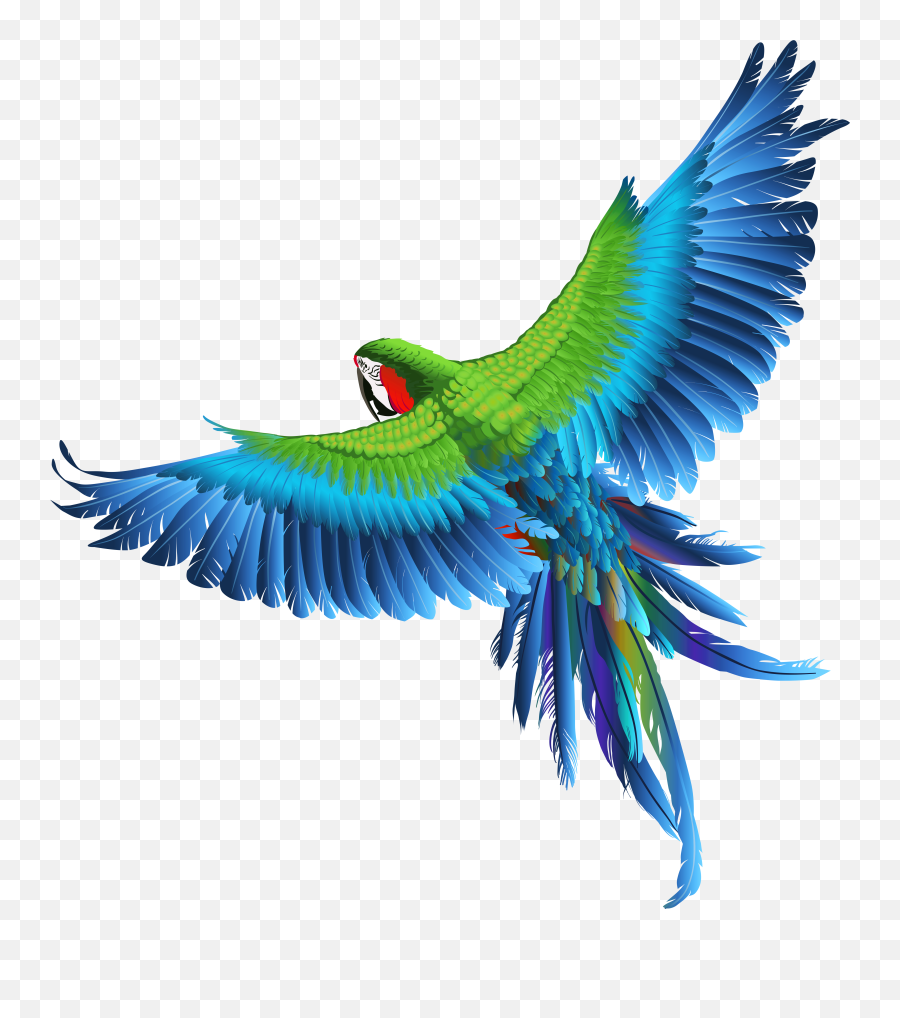 Transparent Parrot Clipart Picture - Background Birds Png Download Emoji,Birds Png