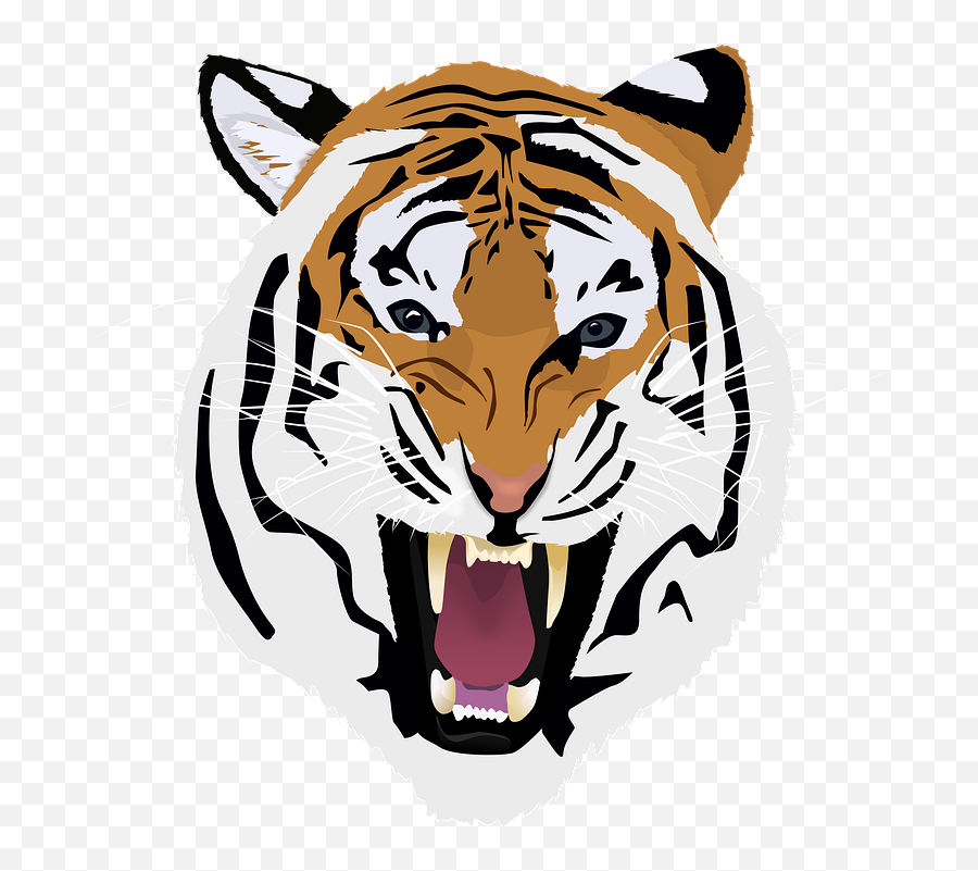 Tiger Animal Head - Free Image On Pixabay Emoji,Tiger Head Png