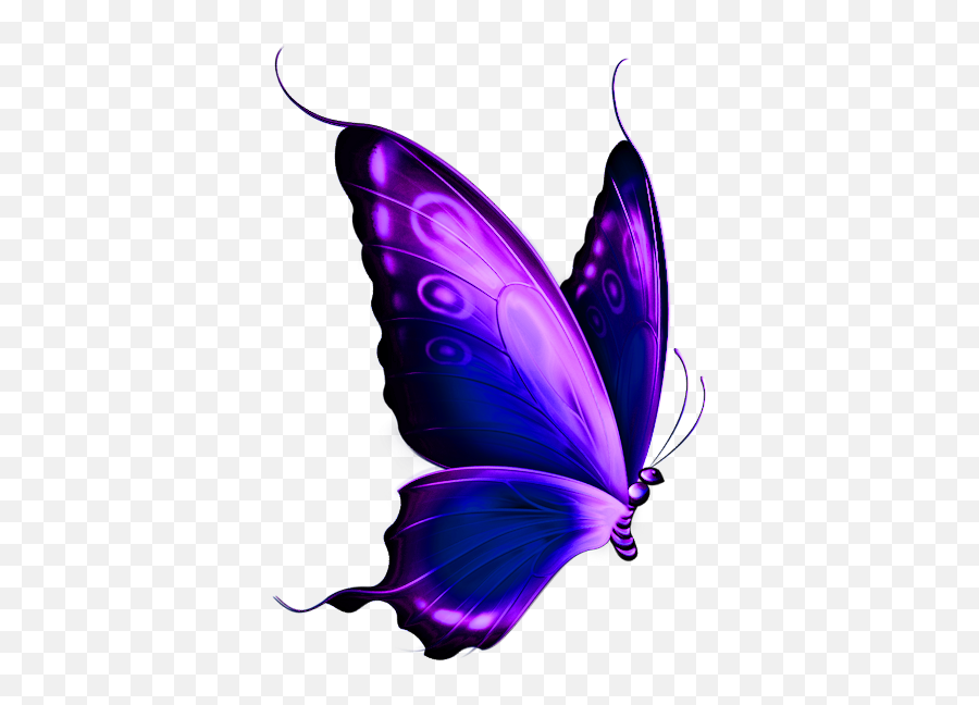 Butterfly Png - Clipart Best Clipart Best Clipart Best Purple Butterfly Drawing Emoji,Butterfly Png
