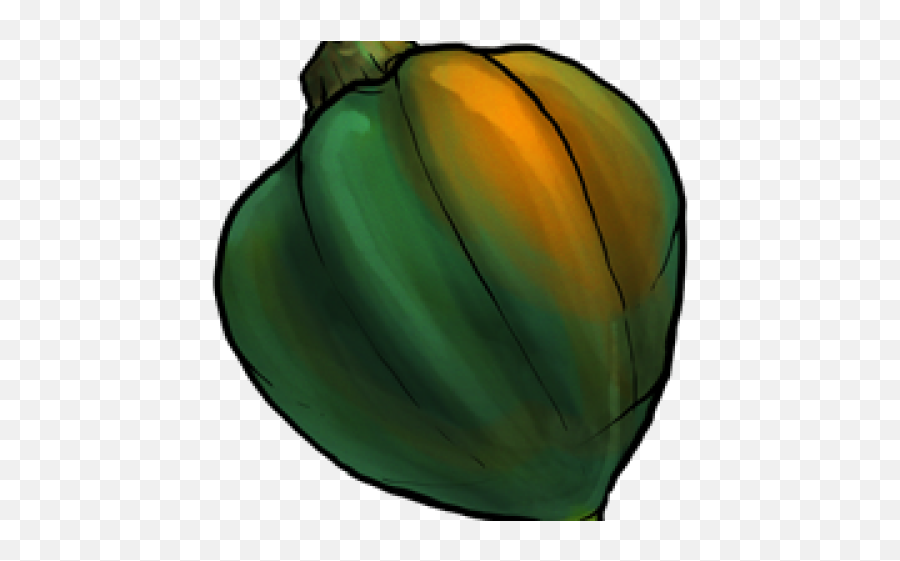 Zucchini Clipart Gourd - Acorn Squash Png Download Full Emoji,Zucchini Clipart