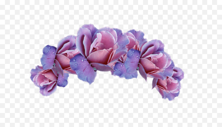 Flower Crown Download Png Image Png Arts Emoji,Flower Crown Clipart