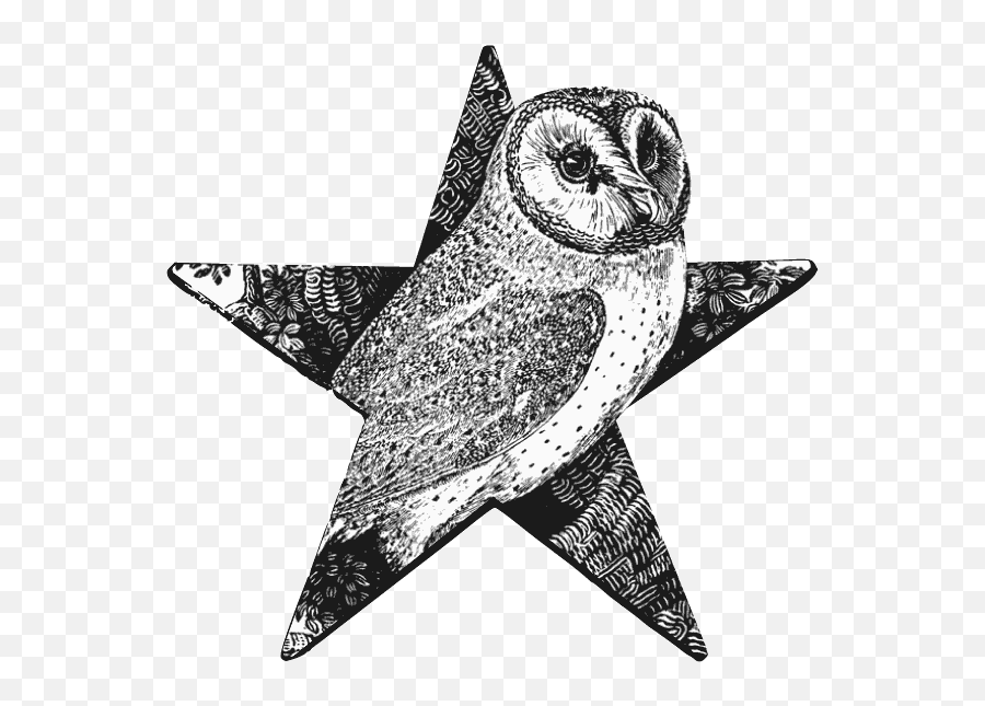 Filebarn Owl Barnstarpng - Wikimedia Commons Emoji,Owls Png