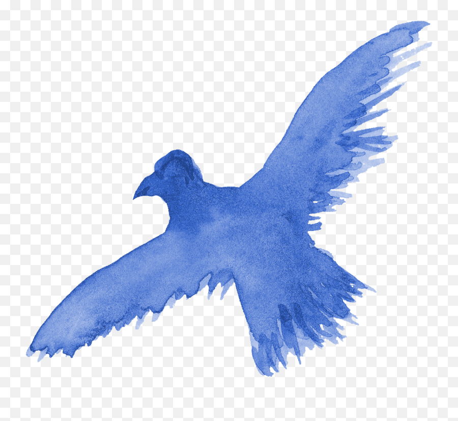 13 Watercolor Bird Silhouette Png Transparent Onlygfxcom Emoji,Blue Bird Png