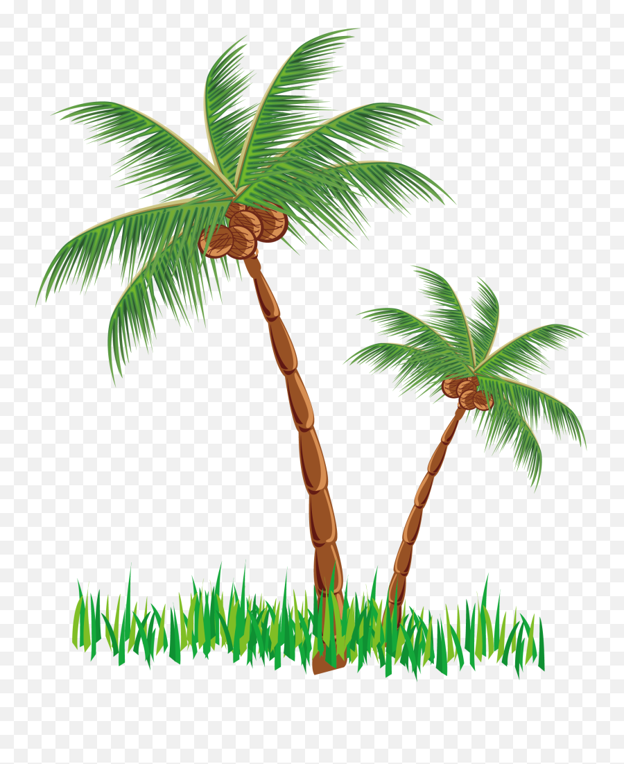 Coconut Clipart Tree - Clipart Coconut Tree Vector Emoji,Coconut Clipart