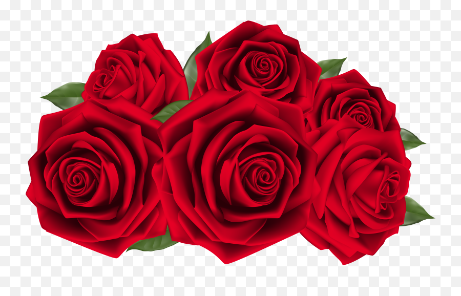 Red Roses Png Png Images - Red Roses Png Emoji,Red Flower Png