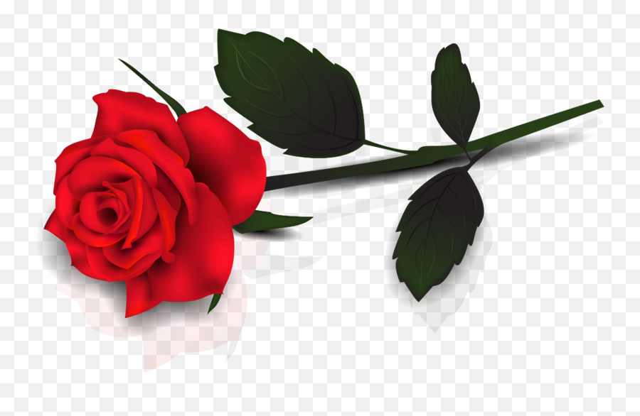 Clipart Of The Single Red Rose Free Image - Transparent Rose Flower Png Emoji,Rose Clipart