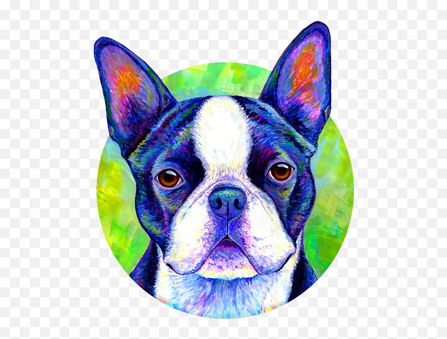Effervescent - Colorful Boston Terrier Dog Kids Tshirt For Emoji,Boston Terrier Png