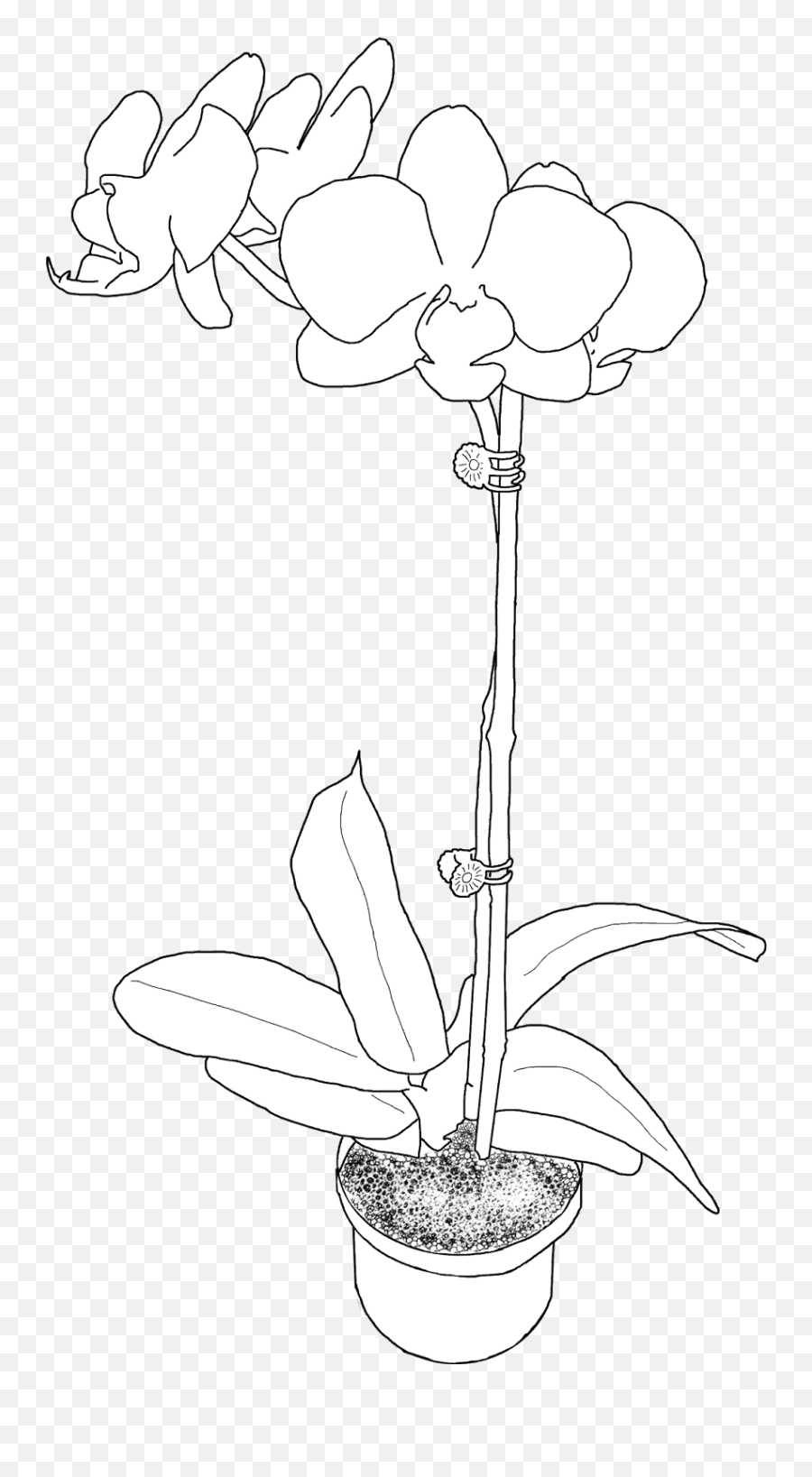 Free Potted Orchid Digi - Orchid In Pot Drawing Emoji,Orchid Clipart Black And White