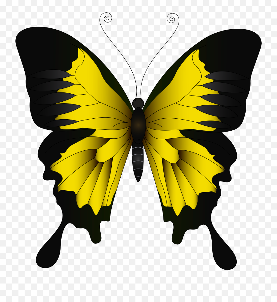 Png Of A Yellow Butterfly U0026 Free Of A Yellow Butterflypng - Yellow Butterfly Png Emoji,Butterfly Png