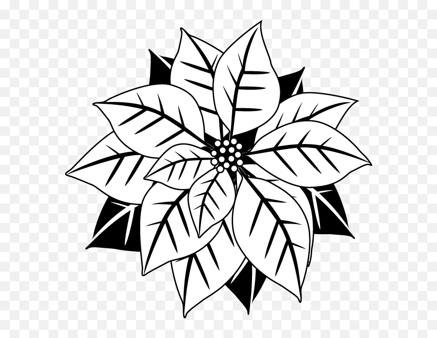 Free Poinsettia Clipart Black And White Free Download Free - Poinsettia Drawing Black And White Emoji,Holly Clipart Black And White