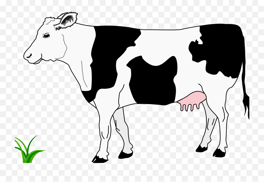Cow Clipart Png Png Transparent Images - Cow White And Black Clipart Emoji,Cow Clipart