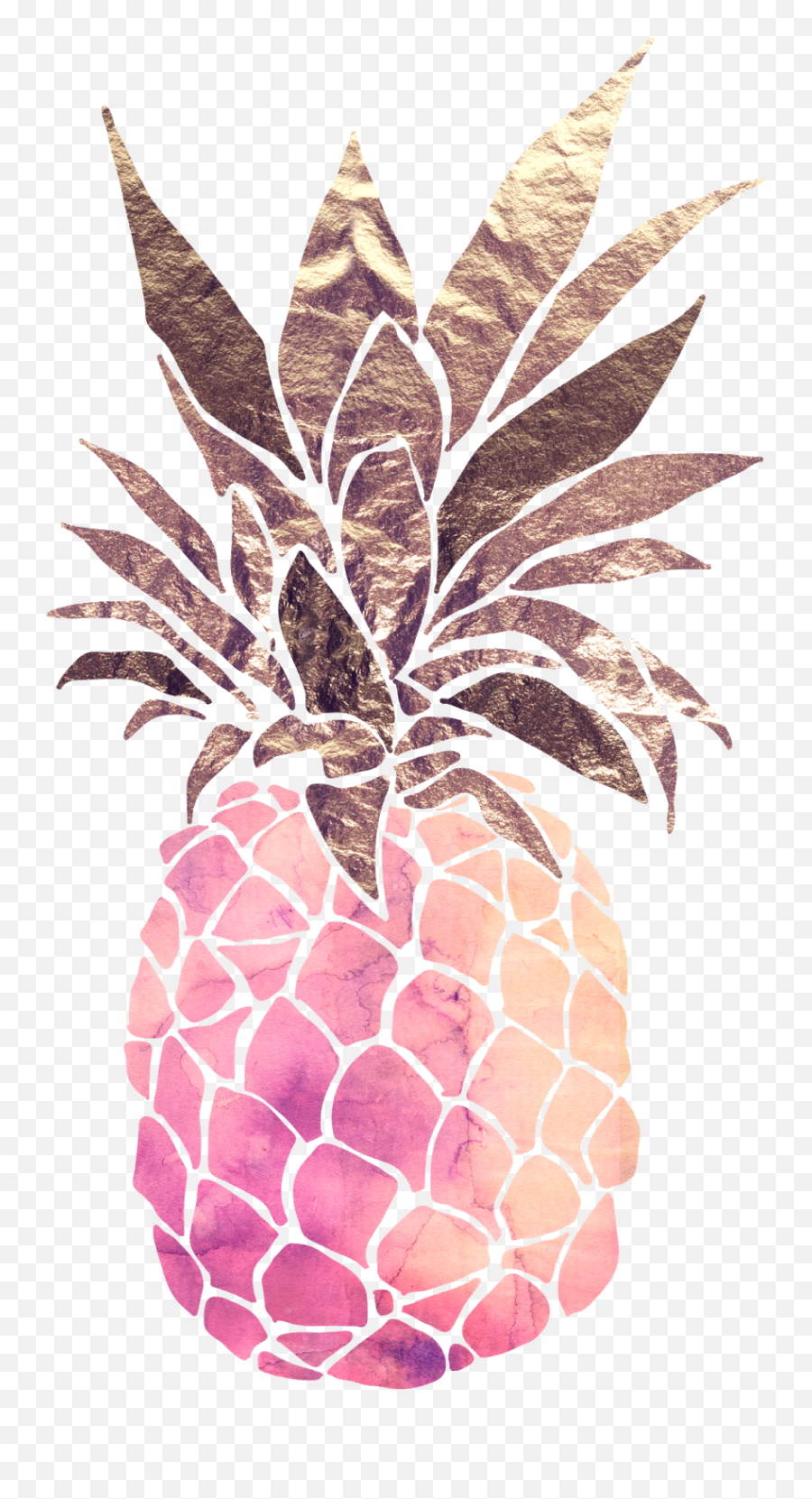 Pineapple Fruit Food - Black Pineapple Transparent Cartoon Transparent Watercolor Pineapple Png Emoji,Pineapple Clipart