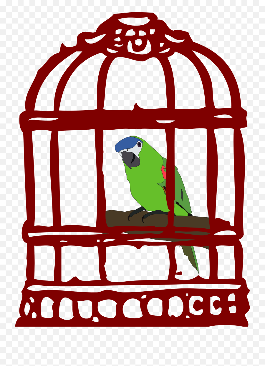 Parrot In Cage Png Clipart - Full Size Clipart 5758708 Bird In Cage Clipart Png Emoji,Cage Png