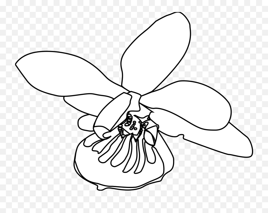 Orchid Clip Art At Clker - Ink Emoji,Orchid Clipart