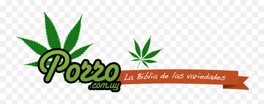 Porro Uruguay Logo - Cannabis Leaf Cube Ottoman Full Size Emoji,Weed Leaf Logo