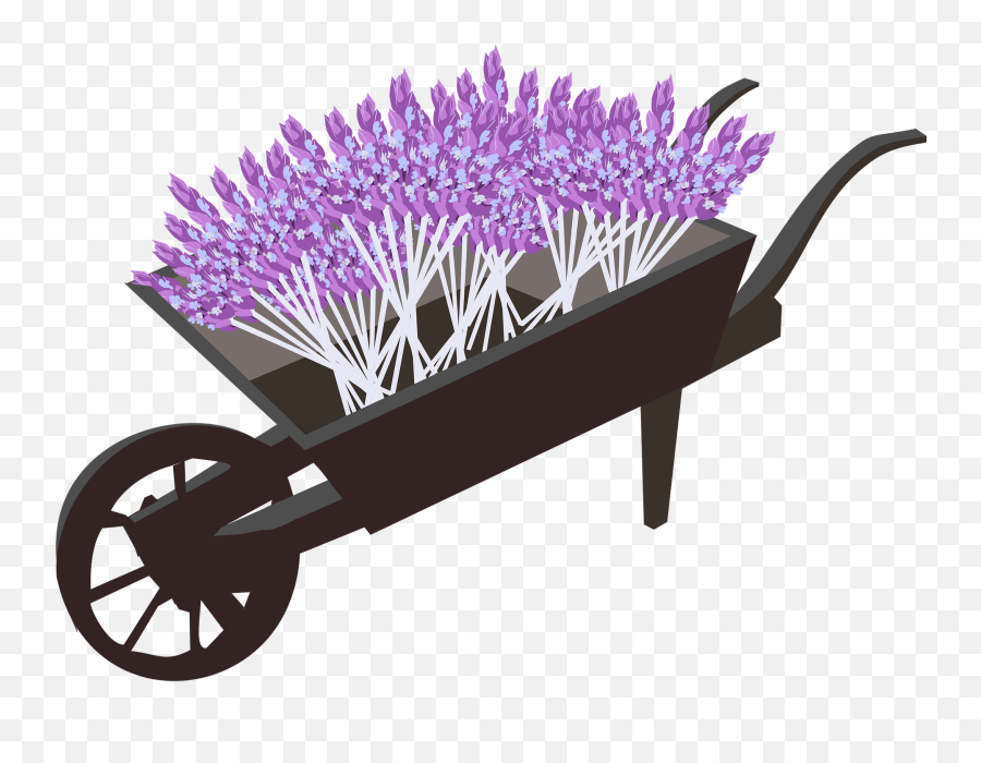 Wheel Barrow Planter Filled With - Wheelbarrow Emoji,Lavender Clipart