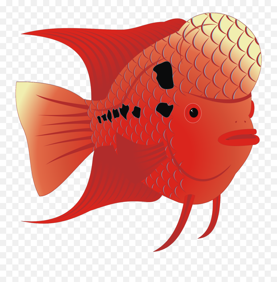 Flowerhorn Fish Svg Vector Flowerhorn Fish Clip Art - Svg Emoji,Fish Skeleton Clipart