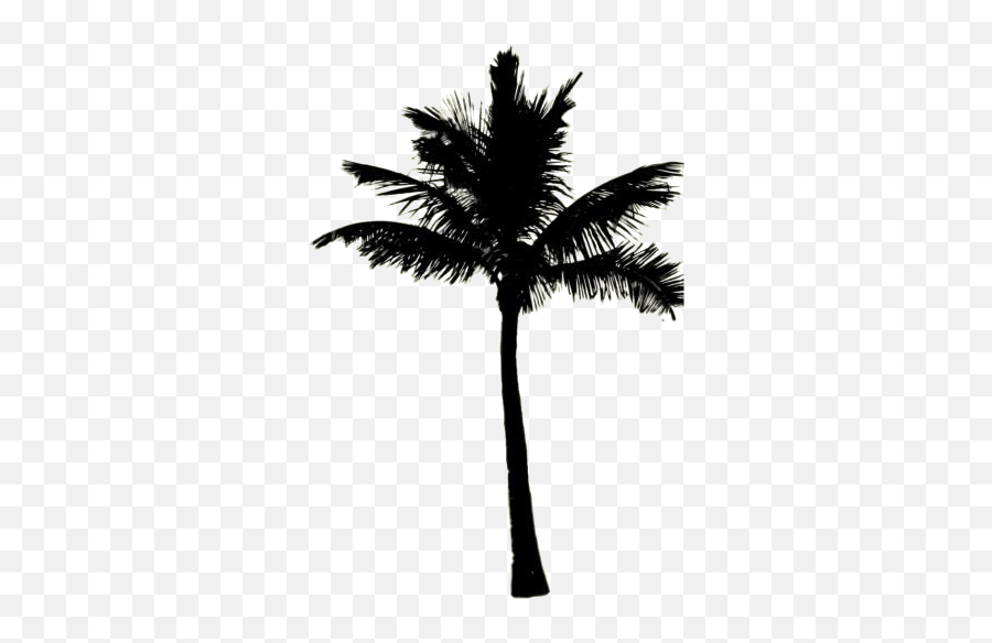 Transparent Palm Tree Silhouette Png - Fresh Emoji,Tree Silhouette Png