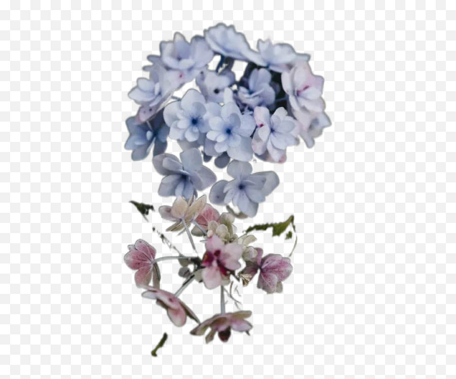 White And Purple Flowers In Tilt Shift Lens Transparent Emoji,Purple Flower Transparent Background