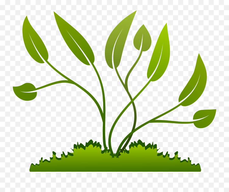 Free Wild Edible Plant Walks - Plant Emoji,Walk Clipart