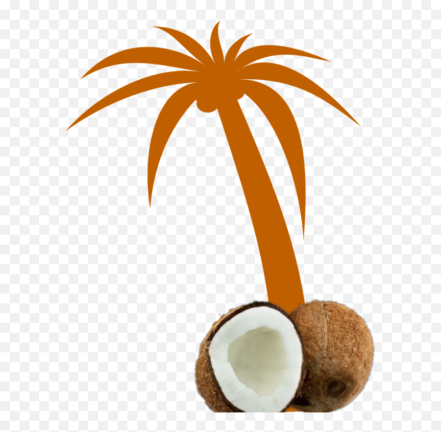 Mq Orange Palmtree Palm Coconut - Palm Tree Clip Art Png Emoji,Coconut Drink Clipart