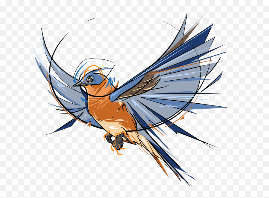 Browse Thousands Of Bluebird Images For Design Inspiration Emoji,Blue Bird Png