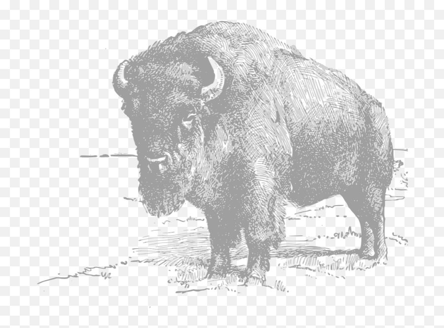 Openclipart - Clipping Culture American Bison Emoji,Buffalo Clipart